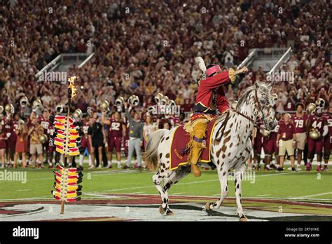 Unveiling the Seminole Spear: A Saga of Athletics, Tradition, and Florida State Pride