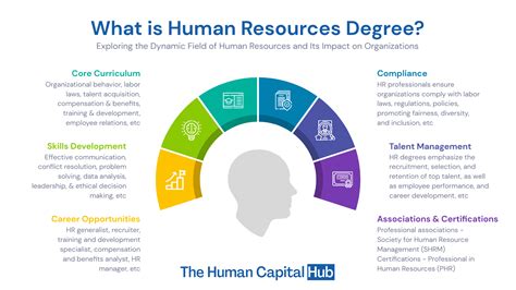 Unveiling the Significance of a Human Resources Degree: A Comprehensive Guide