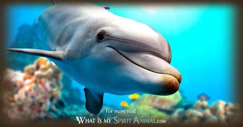 Unveiling the Symbolism: Dolphins as Guardians of Emotion and Spirit