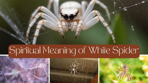 Unveiling the Symbolism and Significance of the White Spiderman Suit: A Journey into Purity, Redemption, and Hope