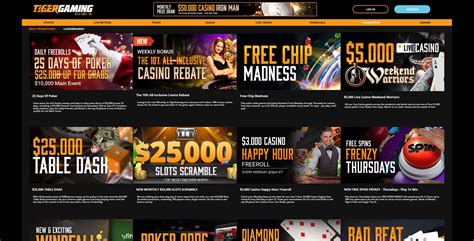 Unveiling the Thrill: A Comprehensive Guide to Tigergaming Casino