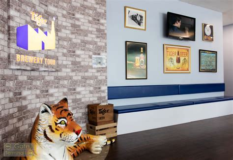 Unveiling the Tiger Beer Factory: A Brewmaster's Journey