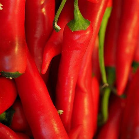 Unveiling the Treasures of Rare Chilli Seeds