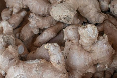 Unveiling the Versatile Ginger Root