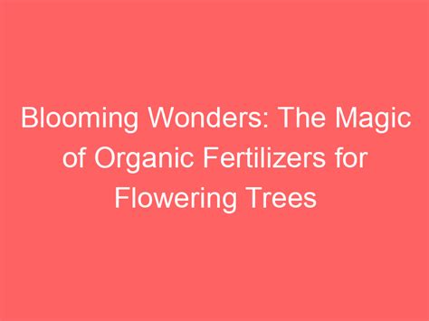 Unveiling the Wonders of Blooming Fertilizer