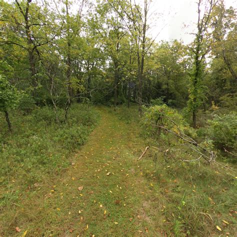 Unveiling the Wonders of Fenner Nature Center: A Comprehensive Guide to Nature's Embrace