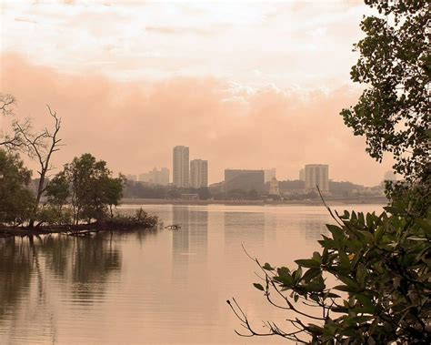 Unveiling the Wonders of Sungei Buloh Wetland Reserve: A Comprehensive Guide