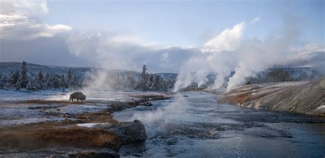 Unveiling the Wonders of Yellowstone through the Magic of Tenting