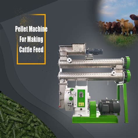 Unveiling the World of Fertilizer Pellet Machines: A Market Overview