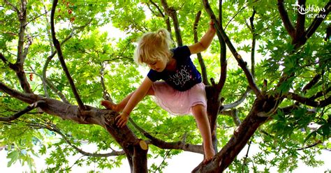 Up in the Tree Reader