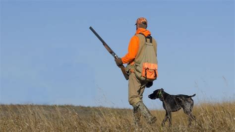 Upland Hunting Shirts: The Ultimate Guide to Choosing and Using