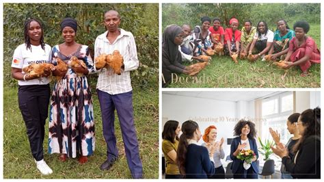 Uplift Alliance Baltimore: Empowering Communities Through Collective Action