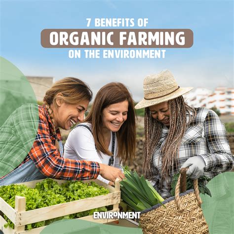 Uplift Your Organic Farming with the Power of 7