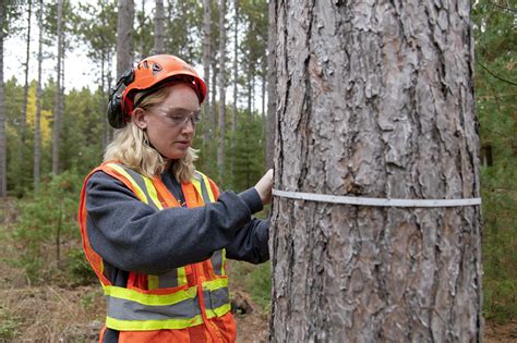 Urban and Recreational Forestry PDF