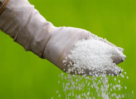 Urea: