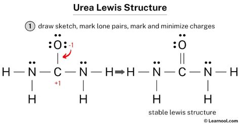 Urea Lewis Structure: A Comprehensive Guide