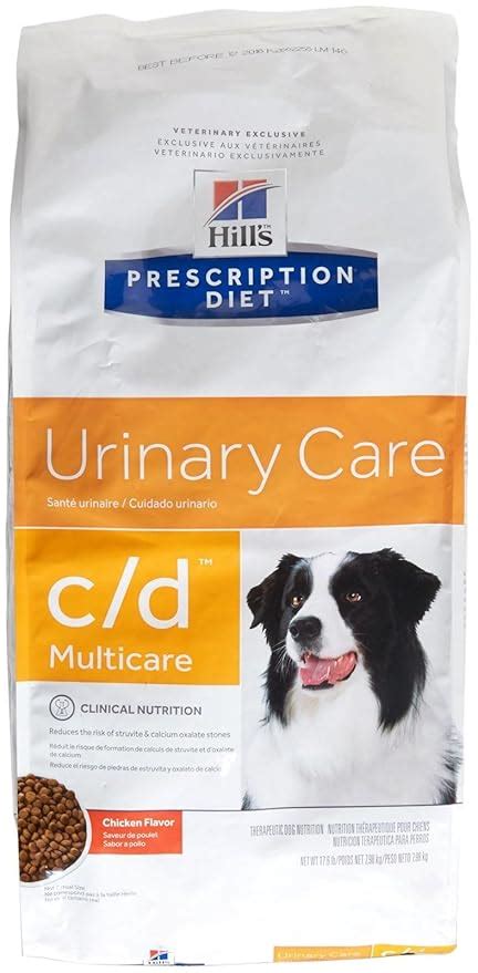 Urinary Care Dog Food: A Comprehensive Guide to Keep Your Dog's Urinary Tract Healthy