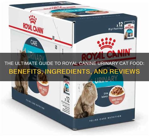 Urinary Infection Cat Food: The Ultimate Guide to Keeping Your Cat Healthy