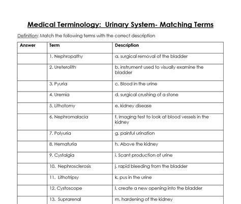 Urinary System Matching Answers Epub