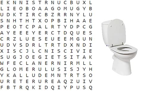 Urinary System Wordsearch Answer Key Biology Corner Kindle Editon