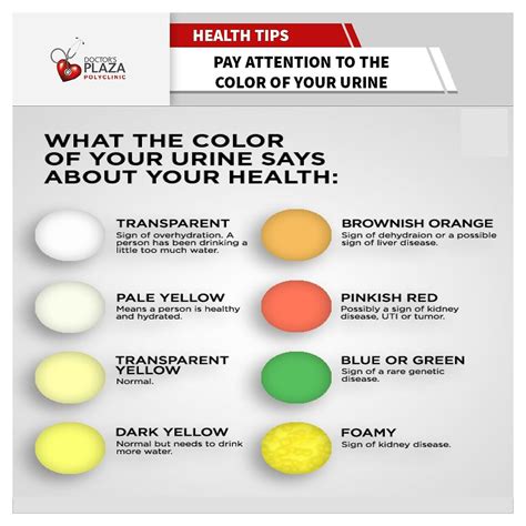 Urine Color Chart Liver