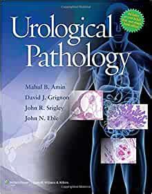 Urological Pathology PDF