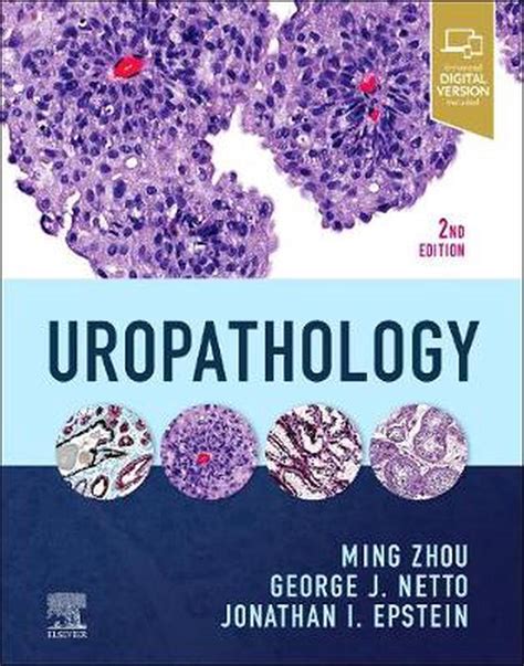 Uropathology 1st Edition Epub