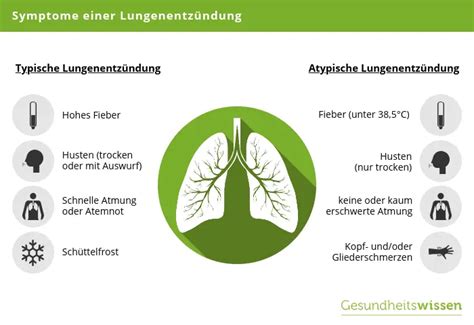 Ursachen der Lungenentzündung