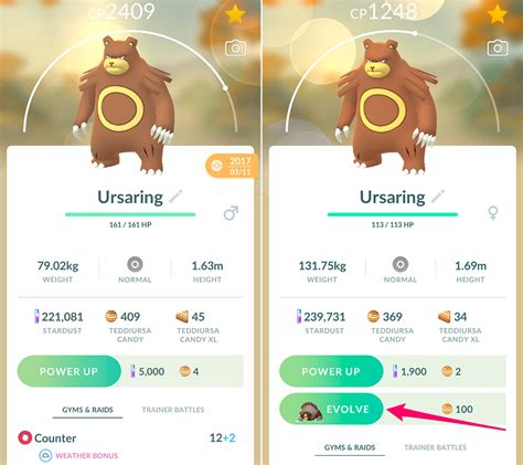 Ursaluna in Pokémon GO: A Comprehensive Guide to Evolving Ursaring