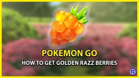 Use Berries and Golden Razz Berries: