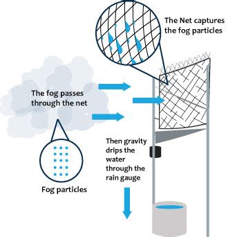 Use fog collectors: