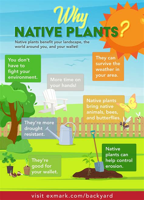 Use native plants: