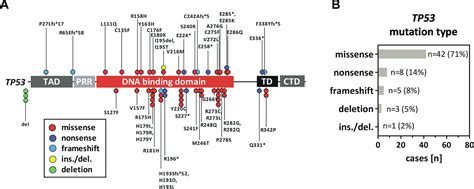 Use of p53 Mutation Analysis for Staging Breast Cancer PDF