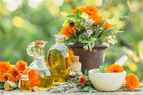 Useful Cosmetic Herbs for Skin Care Reader