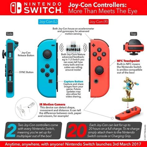 User's Manual for a Nintendo Switch