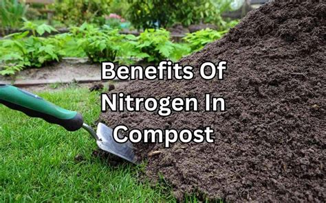 Using DEF as Fertilizer: A Guide to Unlocking Nitrogen's Benefits