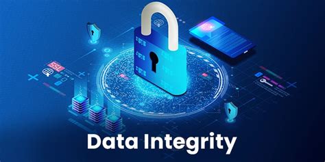 Using Database Management Systems for Enhanced Data Security and Integrity