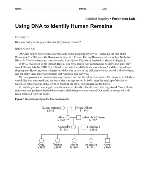 Using Dna To Identify Human Remain Answers Reader