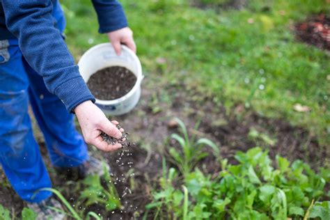 Using Fertilizer on a Well: A Guide to Best Practices