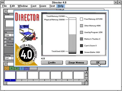 Using Macromedia Director X PDF