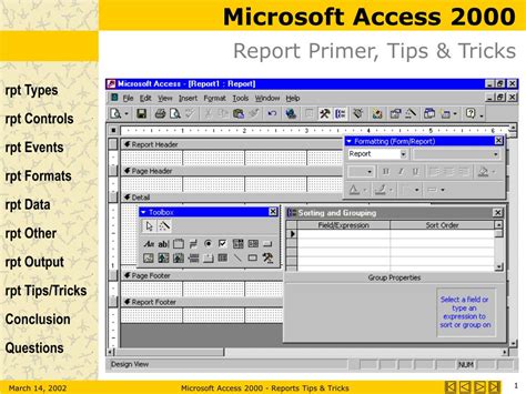 Using Microsoft Access 2000 Kindle Editon