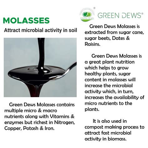 Using Molasses as Fertilizer: 10,000+ Words of In-Depth Guide