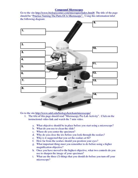 Using The Microscope Worksheet Answers Kindle Editon