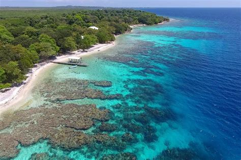 Utila's Enchanting Marine Environment