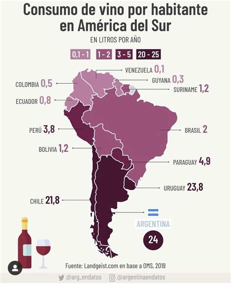 Uva Bet: Aposta Inteligente no Mercado Internacional de Vinhos