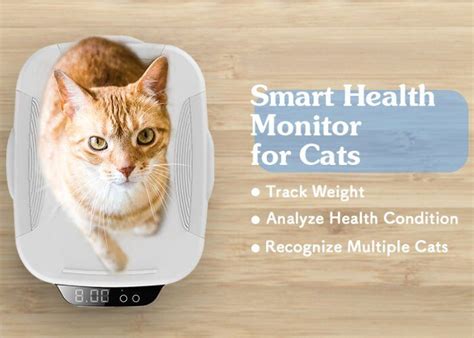 VS 2025: Feline Health Monitoring and Diagnosis 101