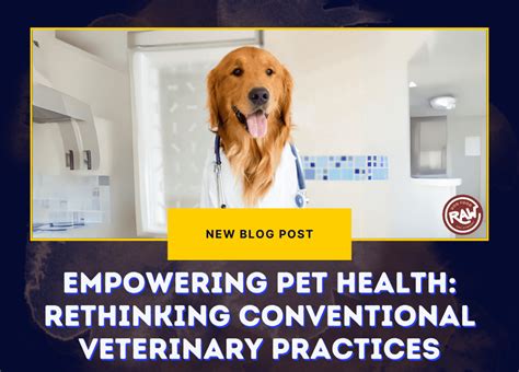 VS2025: Empowering Pet Healthcare with Advanced Medical Procedures and Tracking