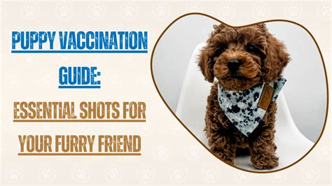 Vaccination Essentials for Your Furry Friend