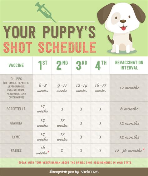 Vaccine Schedule For Puppies Chart