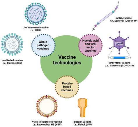 Vaccine development: